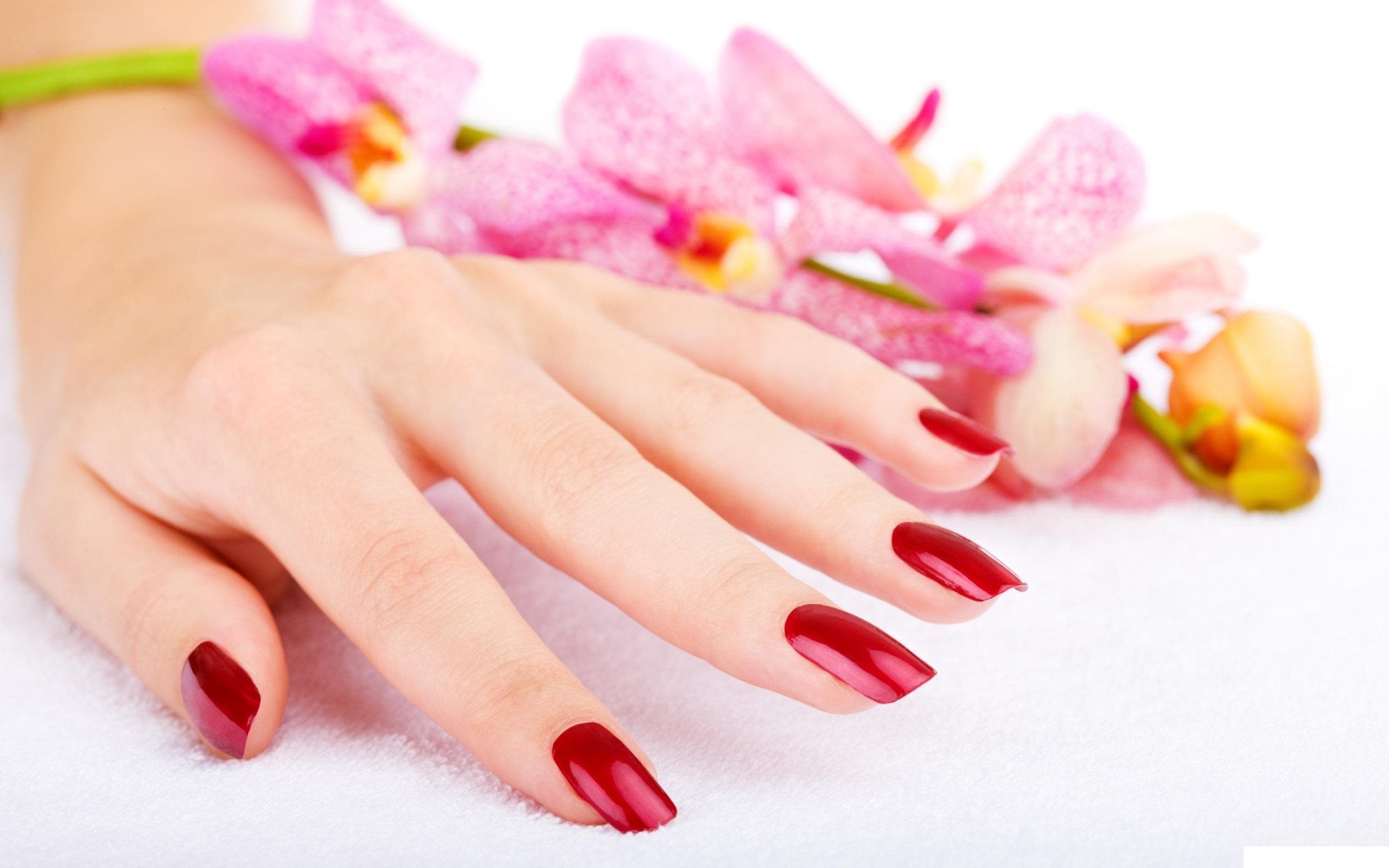 Closeup_Hands_Manicure_458694